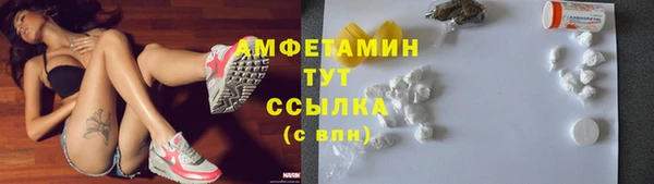шишки Болохово