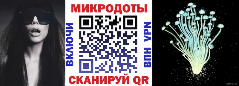 Псилоцибиновые грибы Psilocybine cubensis  что такое   Андреаполь 